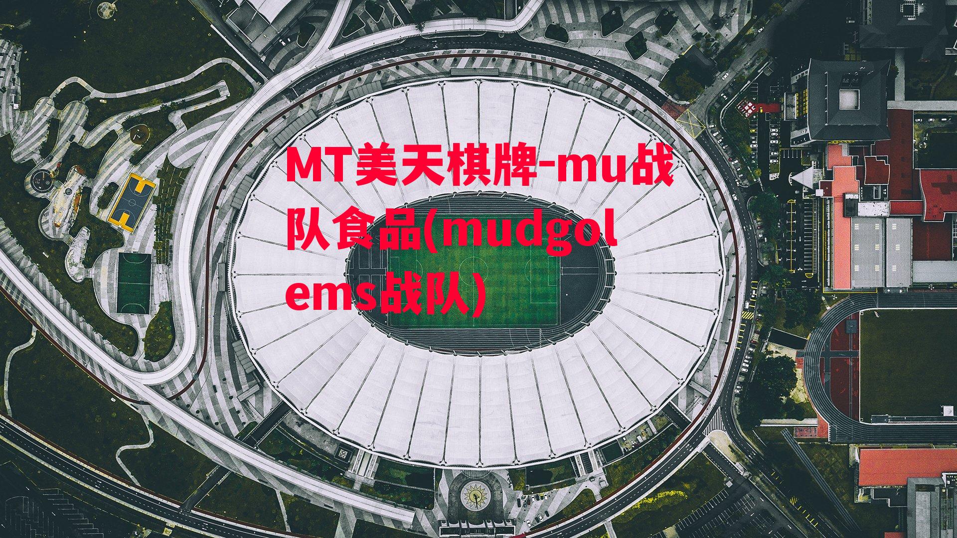 mu战队食品(mudgolems战队)